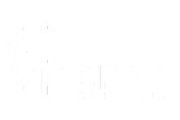 Logo | Brain Care