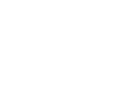 Logo | Brain Care